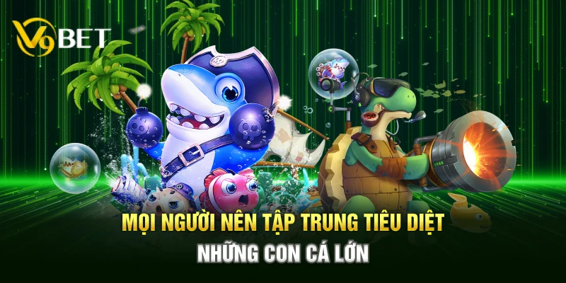 Mọi người nên tập trung tiêu diệt những con cá lớn